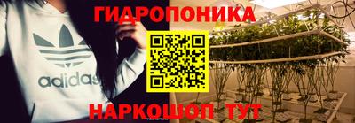 эйфоретик Гусиноозёрск