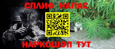 СК Гусь-Хрустальный