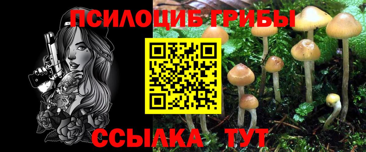 где найти наркотики  Вход с VPN  Псилоцибиновые грибы ЛСД  Надым  Псилоцибиновые грибы Cubensis 